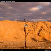 dccd-04_jacket_preview.jpg(8653 byte)