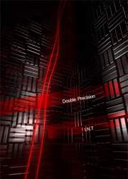 double_int.jpg(7525 byte)